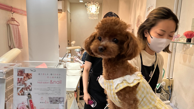 福岡アンドネイルのネイリスト