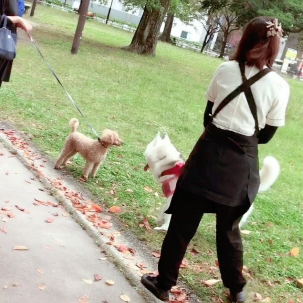 お客様のペットの散歩