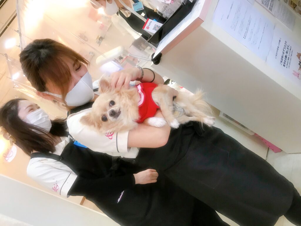 ネイルサロンの就職事情は年々変化